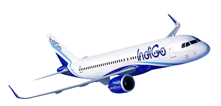 indigo-image